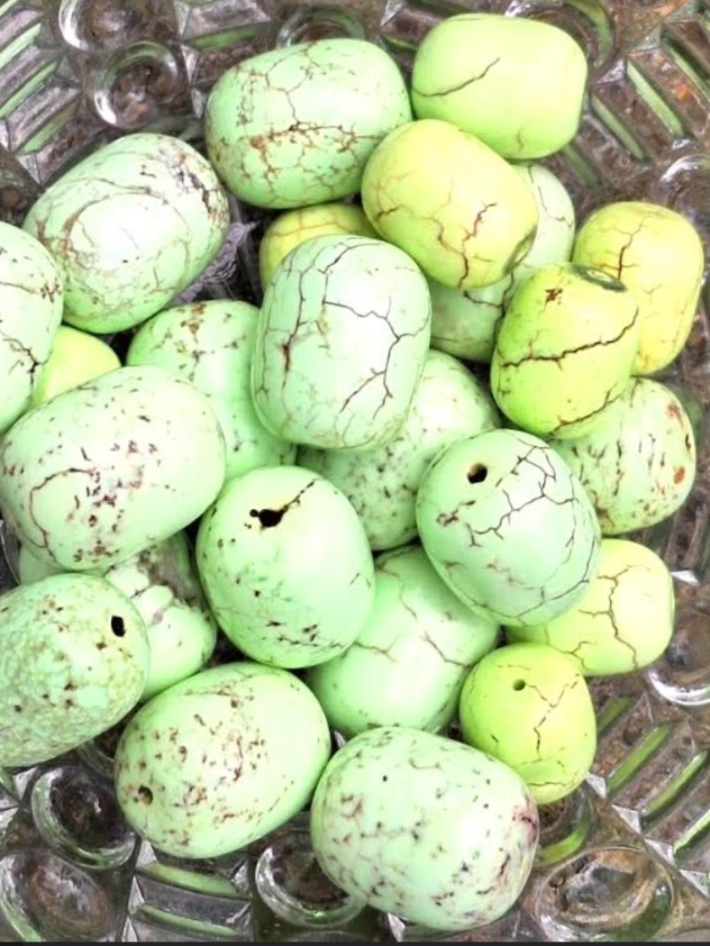 Set of 24 Green Howlite Beads, NWT, Assorted Sizes.